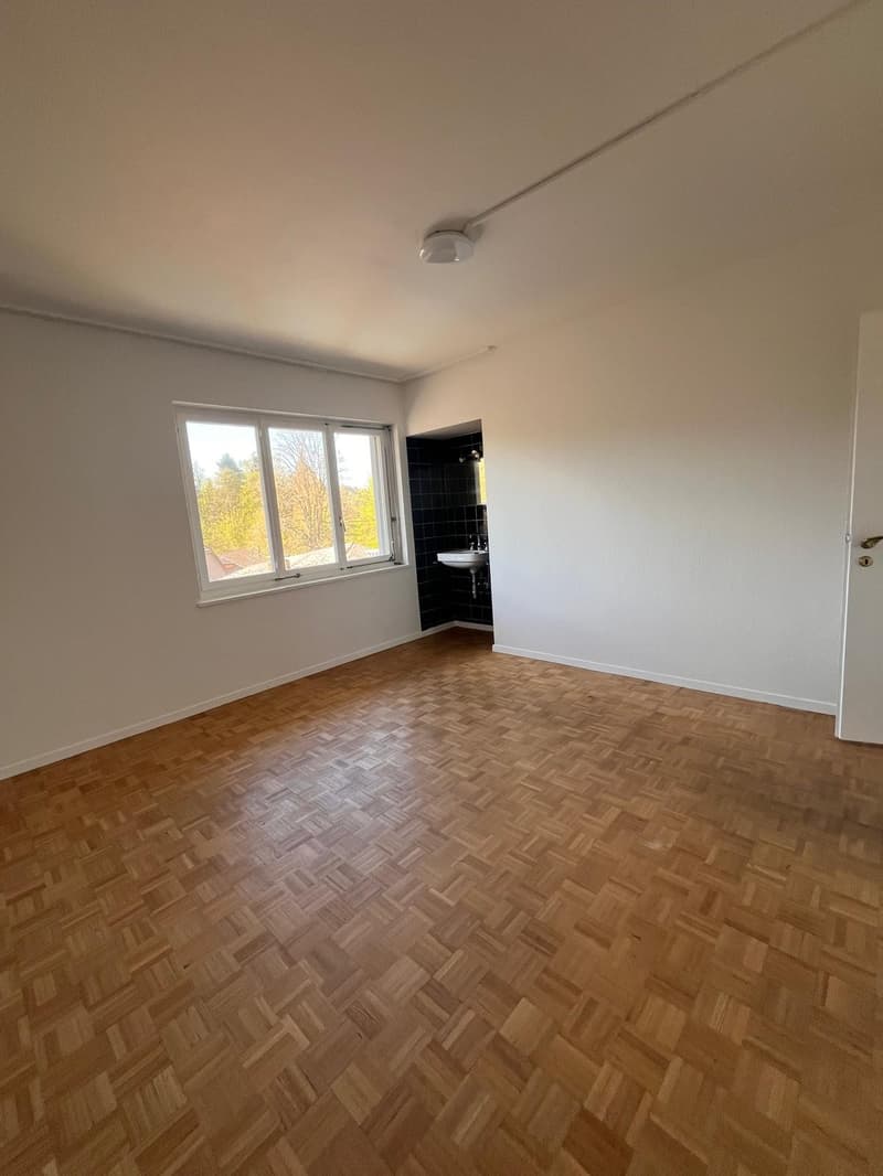 Ideale per famiglia o convivenza – Spaziosa casa unifamiliare di 12 stanze (14)