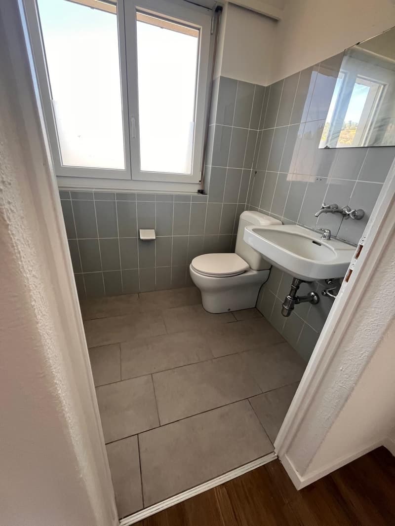 Ideale per famiglia o convivenza – Spaziosa casa unifamiliare di 12 stanze (8)