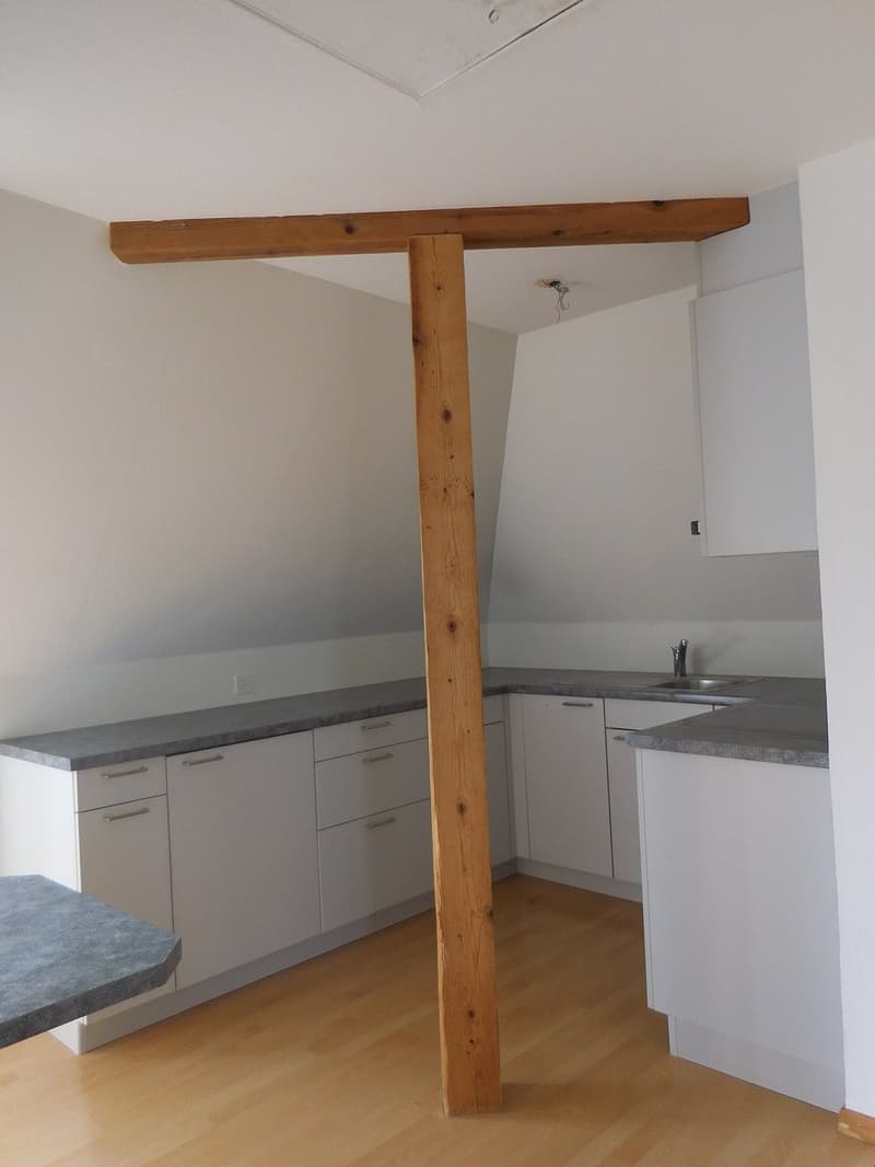 Appartement charmant de 2,5 pièces avec beaucoup de charme et idéalement situé (3)