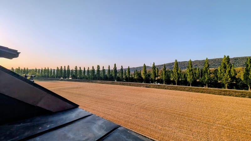 Grosszügig, hell, mit herrlicher Aussicht (21)