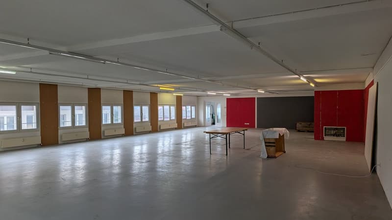 230 m² Gewerbefläche für Produktion, Lager oder Büro in Rohrbach (3)