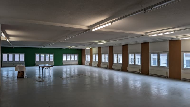230 m² Gewerbefläche für Produktion, Lager oder Büro in Rohrbach (4)