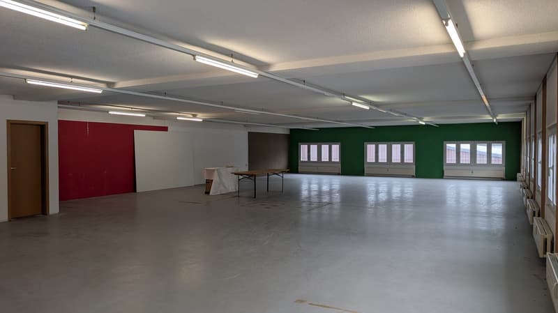 230 m² Gewerbefläche für Produktion, Lager oder Büro in Rohrbach (5)