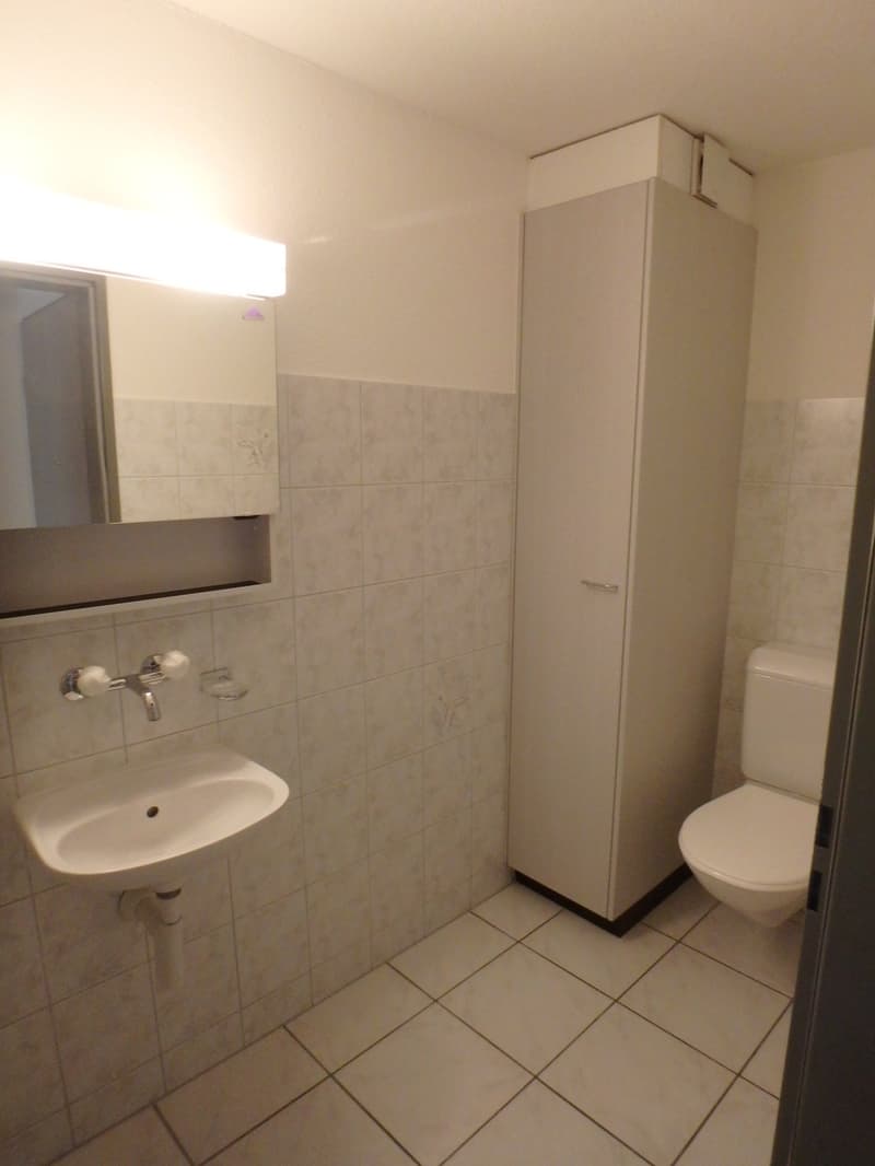 Gepflegt, mit offener Wohnküche (8)