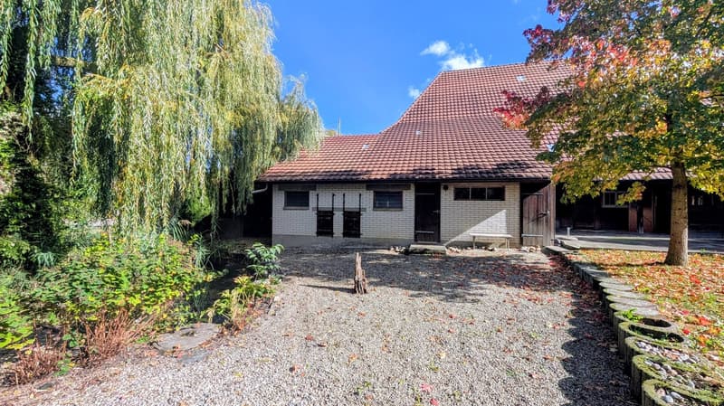 Charmantes, historisches Bauernhaus mit grossem Garten, Stallung und eigener Quelle in Lotzwil (18)