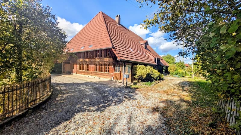 Charmantes, historisches Bauernhaus mit grossem Garten, Stallung und eigener Quelle in Lotzwil (5)