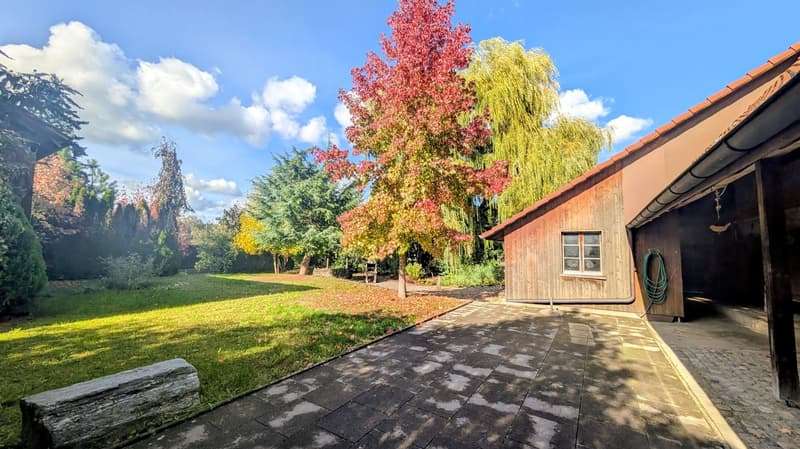 Charmantes, historisches Bauernhaus mit grossem Garten, Stallung und eigener Quelle in Lotzwil (17)