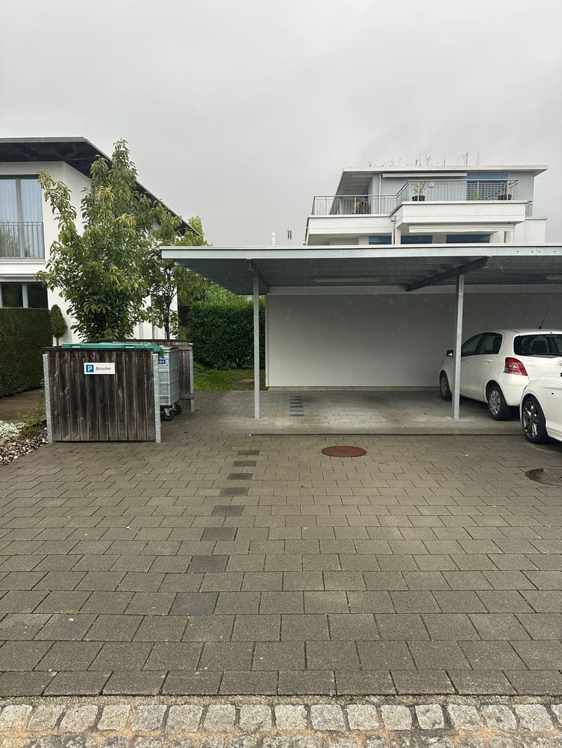 3 1/2-Zimmerwohnung Erdgeschoss in Feldbrunnen (9)