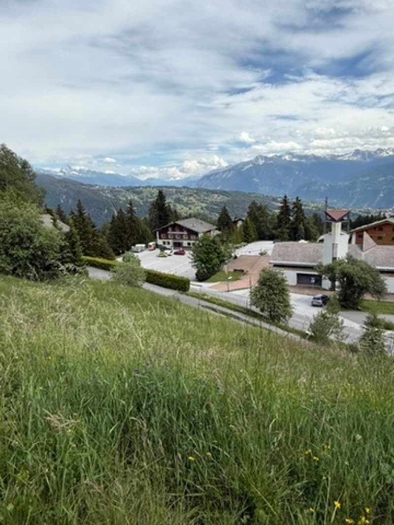 Image-3