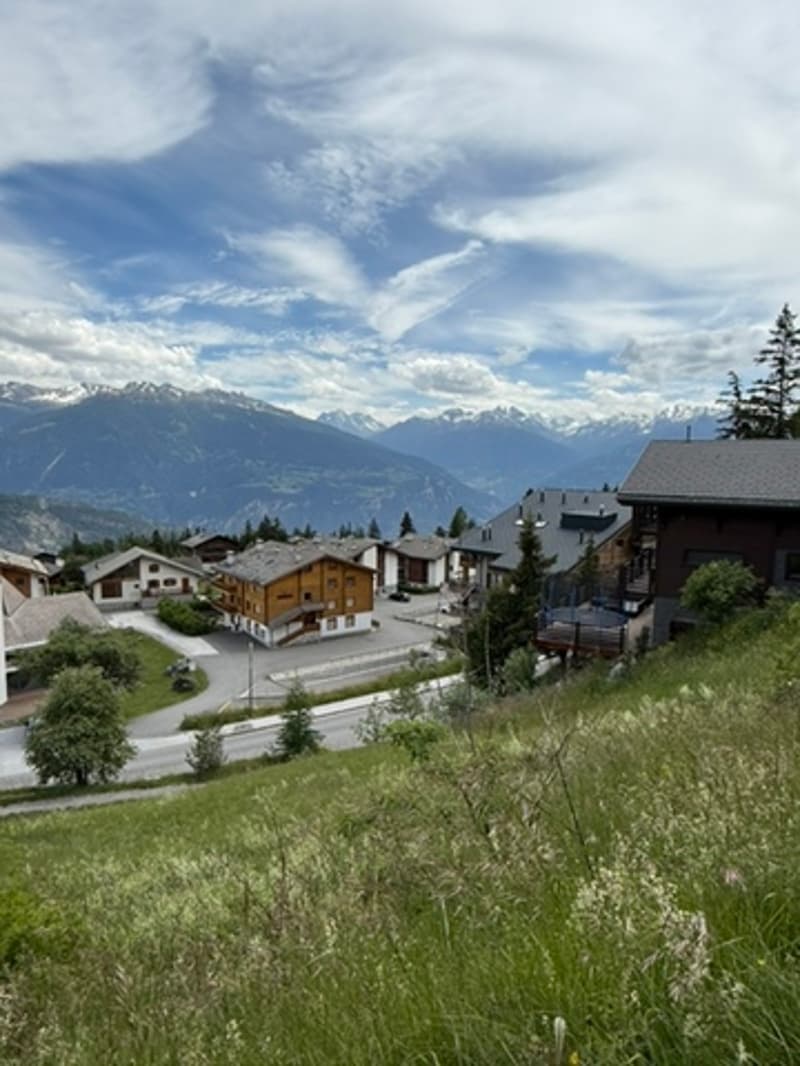 Image-2