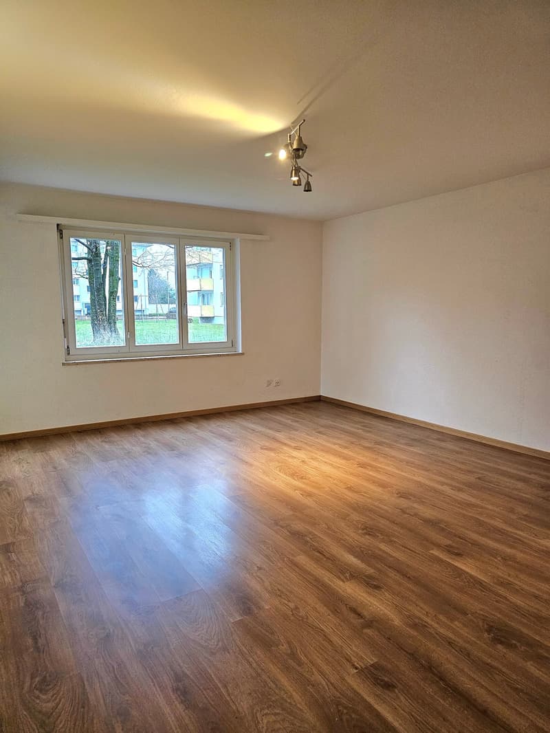 empty room, wooden floor, white walls, large window, ceiling lights