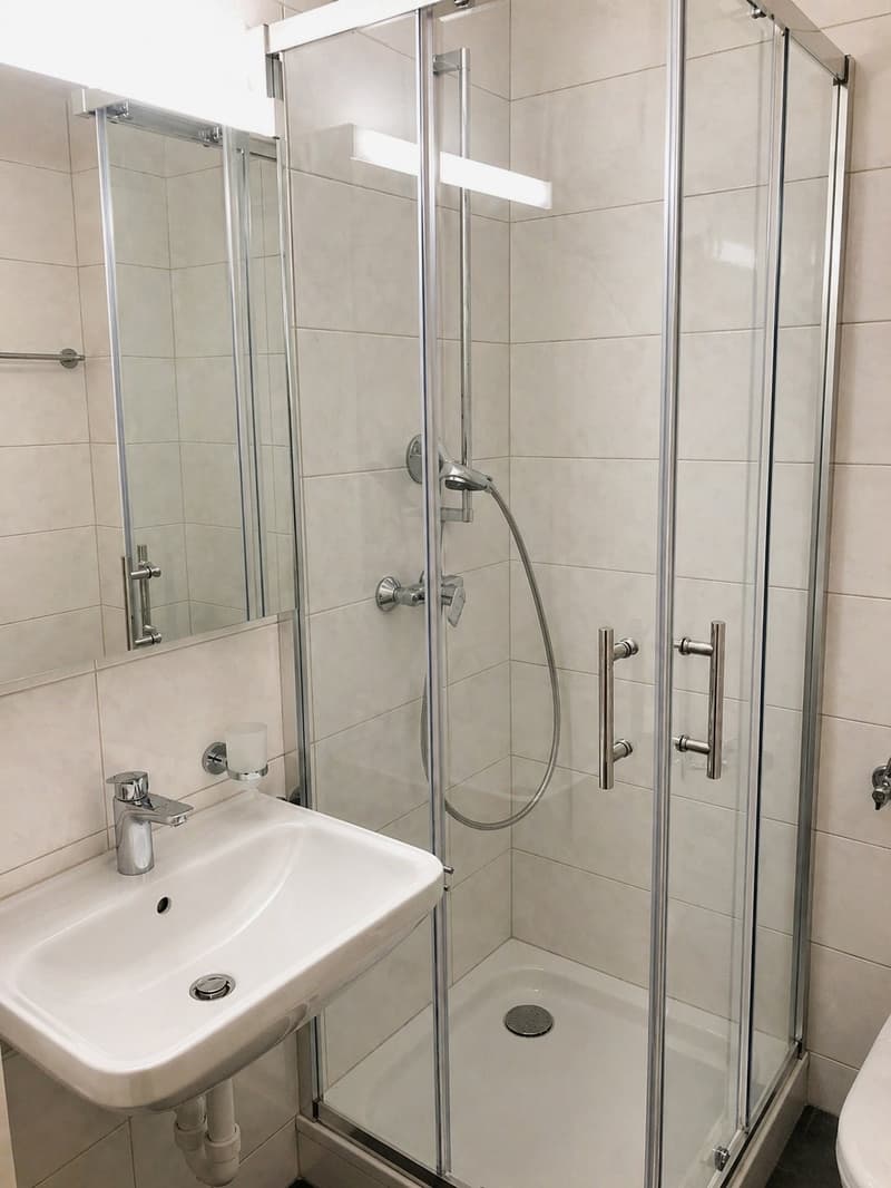 Bello appartamento 1,5 locali con balcone in affitto (3)