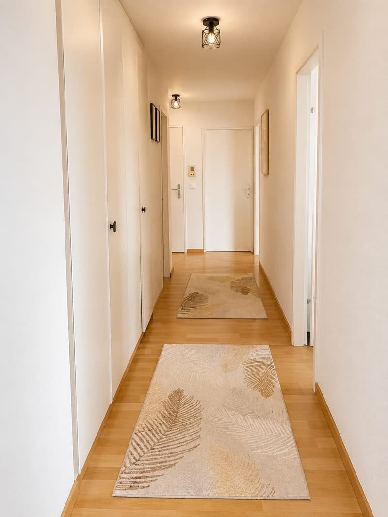 Beautiful newly renovated apartment with balcony and elevator (7)