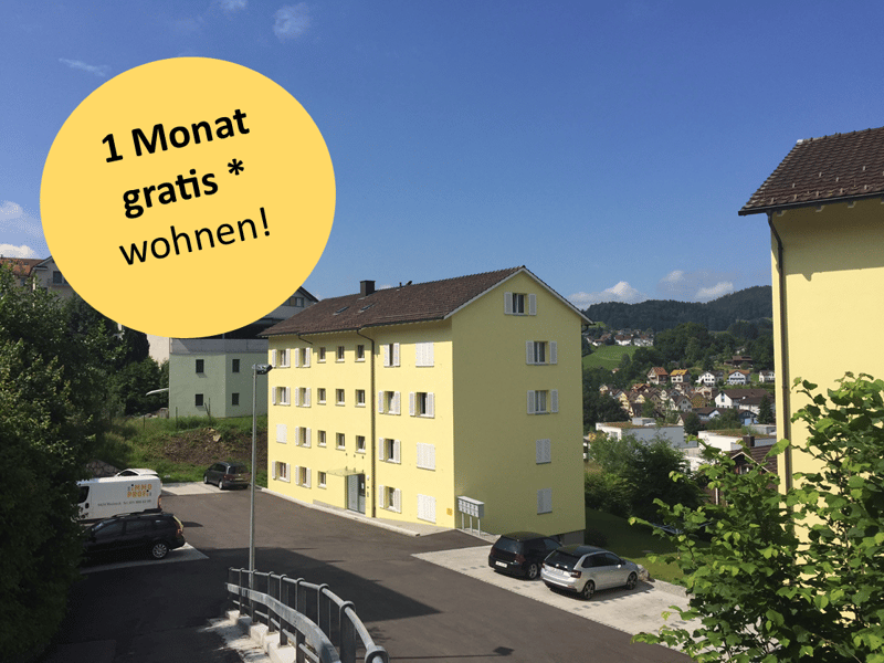 Schöne, helle 4.5 Zimmerwohnung mit toller Aussicht (1)