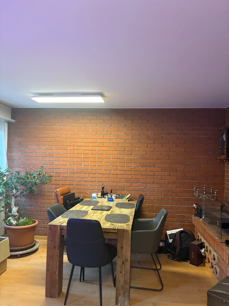 Appartamento luminoso, spazioso 4,5 locali con balcone vicino al lago in affitto (7)