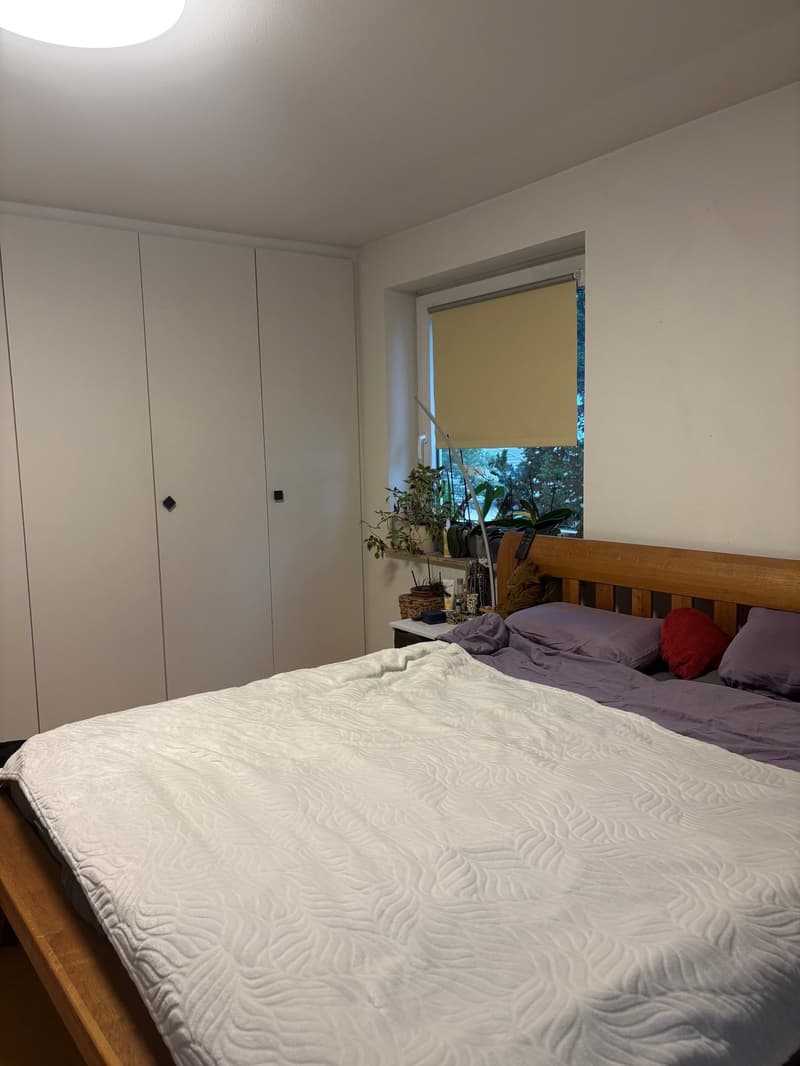 Appartamento luminoso, spazioso 4,5 locali con balcone vicino al lago in affitto (5)