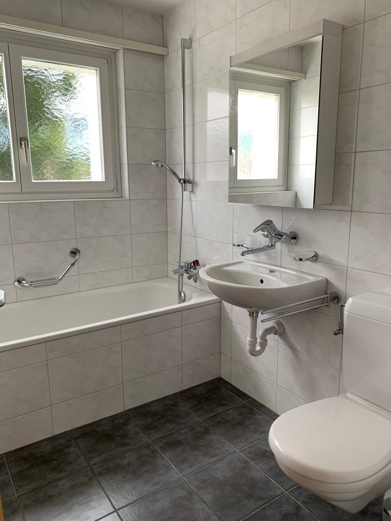 4.5-room apartment with balcony for rent (3)