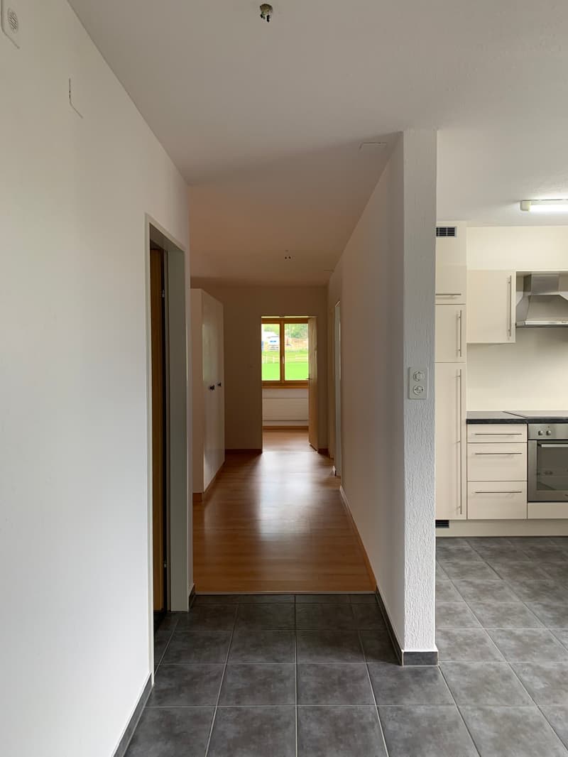 4.5-room apartment with balcony for rent (6)