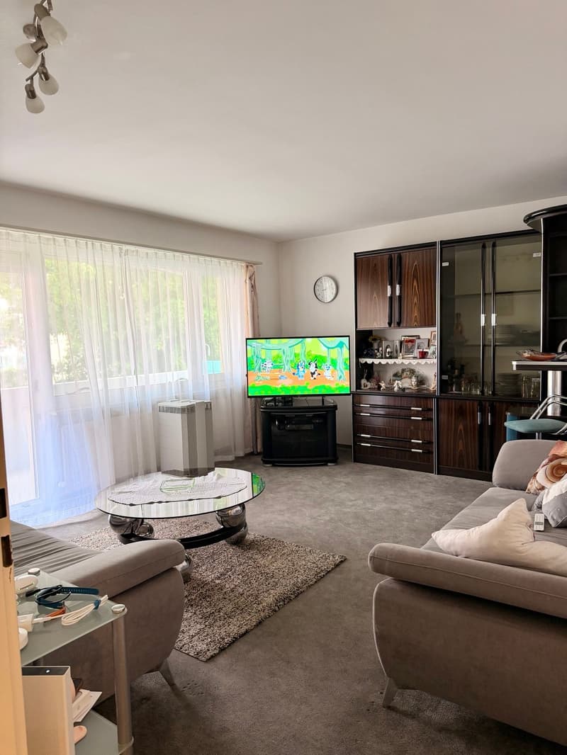 Schöne 4.5 Zimmerwohnung in kinderfreundlicher Umgebung (6)