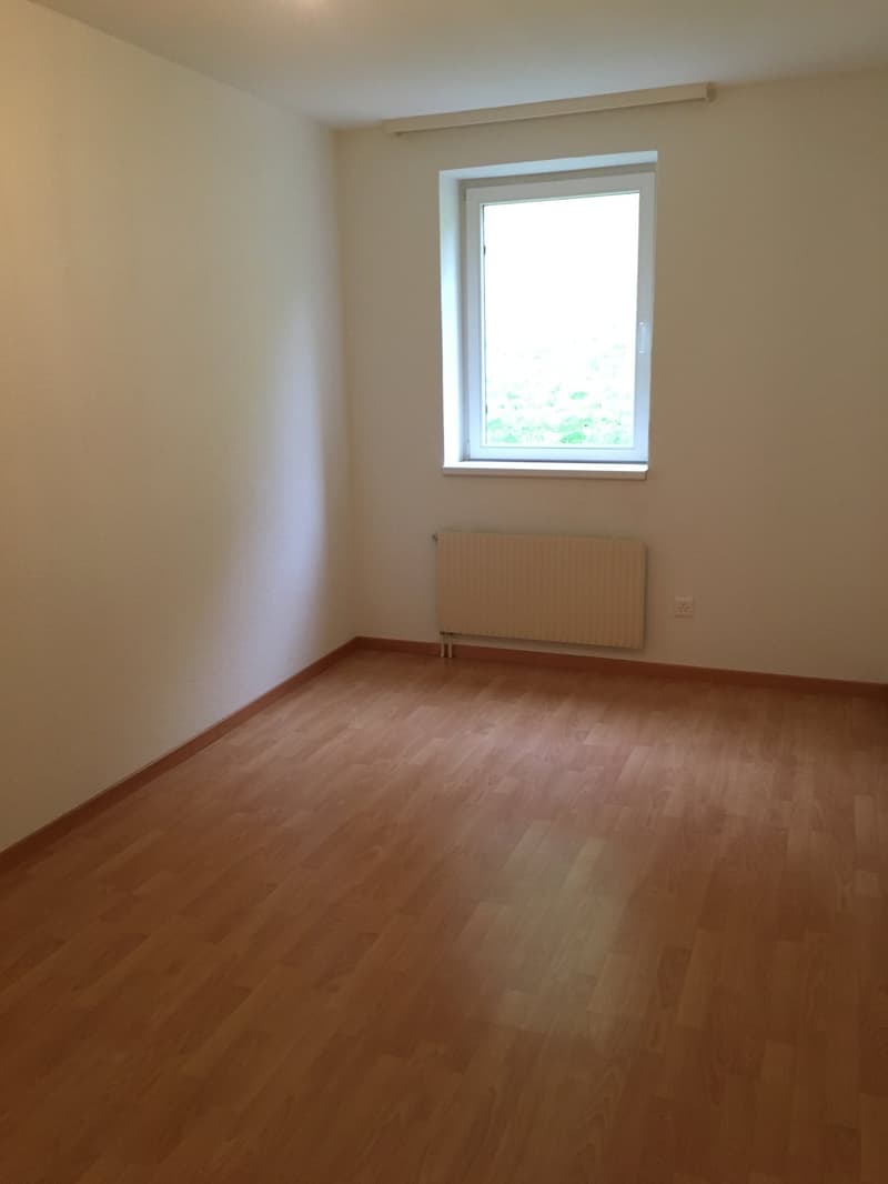 4.5 Zimmerwohnung mit grossem Badezimmer zu vermieten (8)