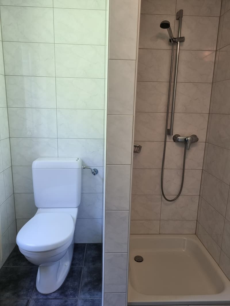 4.5 Zimmerwohnung mit grossem Badezimmer zu vermieten (4)