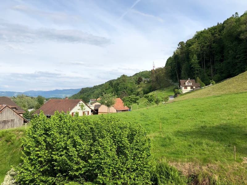 Schöne 2.5 Zimmerwohnung mit Balkon (7)