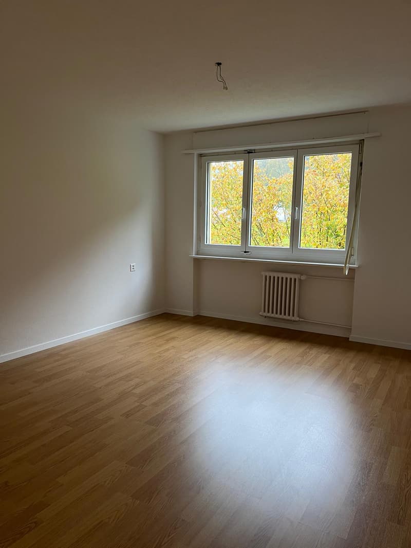 Schöne 2.5 Zimmerwohnung mit Balkon (5)