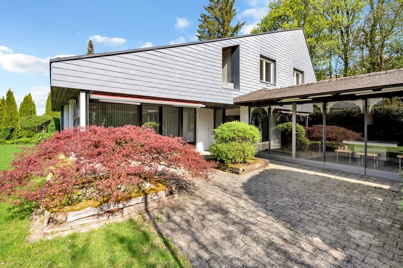 modern house, gray exterior, large windows, glass doors, brick driveway, garden with shrubs and trees