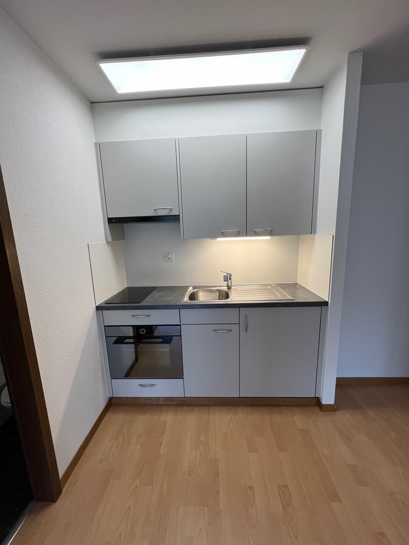Grosszügige 1-Zimmerwohnung mit Balkon in Ostermundigen (2)