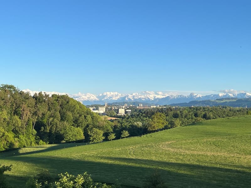 Ein Zuhause. Viel Grün. Ein Ausblick, der bleibt. (1)
