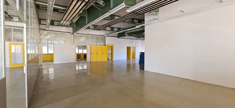 Empty room with white walls, yellow doors, glass walls, and a concrete floor