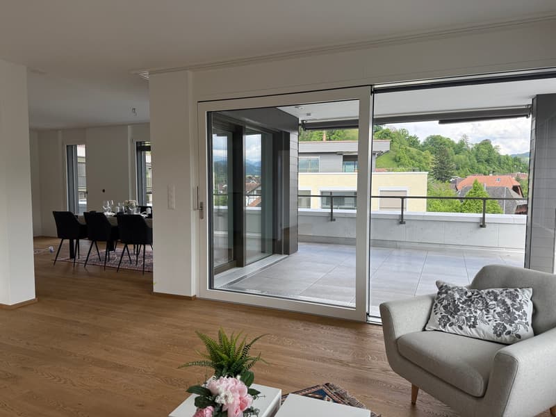 Spacious living room with large sliding glass doors leading to a balcony or terrace, hardwood floors, gray sofa, dining table with chairs, and a potted plant on the coffee table.
