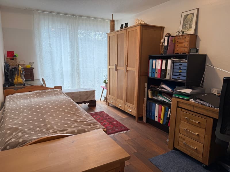 Bedroom: bed, blanket, rug, nightstand, chair. Storage: cabinet, shelves, drawers. Other: window, curtains, desk, picture frame.