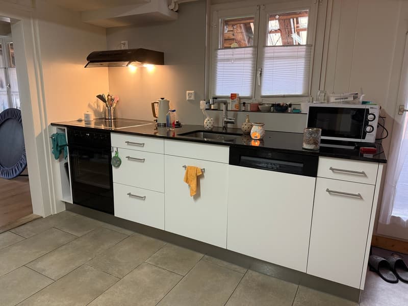 5-party house, fully rented (13)