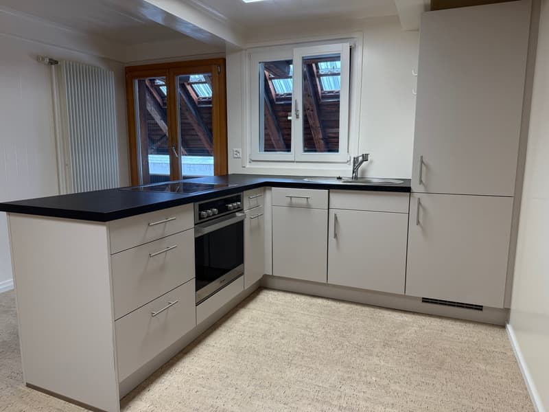 5-party house, fully rented (11)