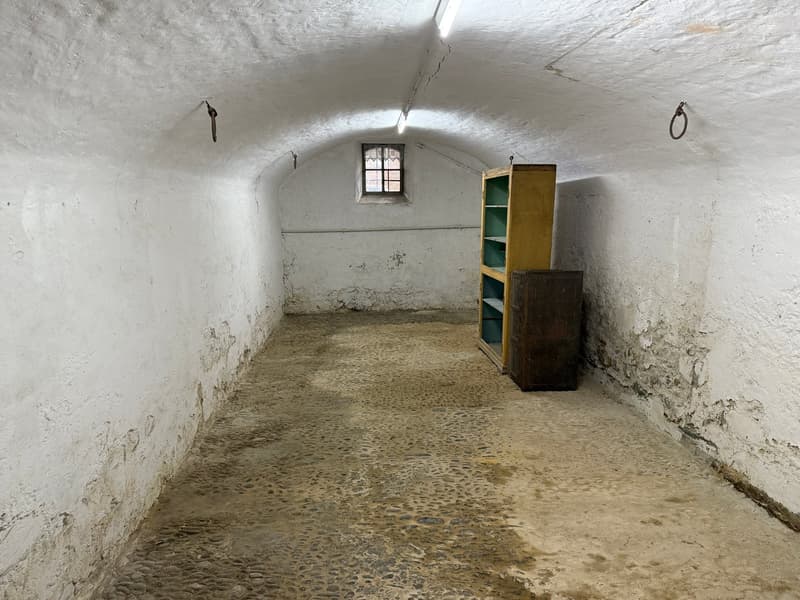 5-party house, fully rented (3)