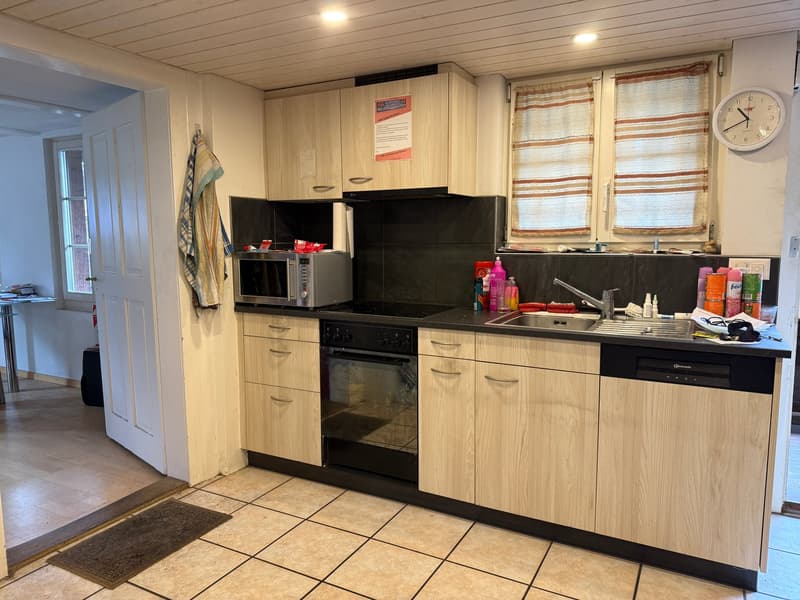 5-party house, fully rented (4)