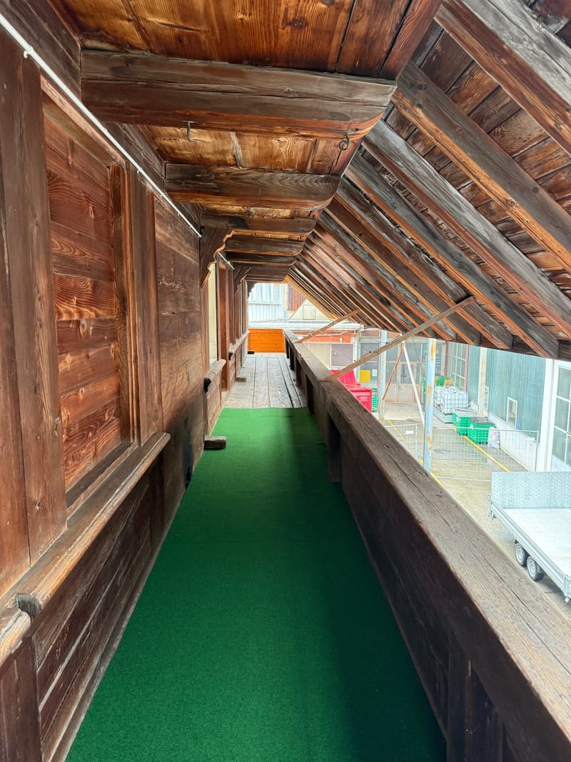 5-party house, fully rented (10)