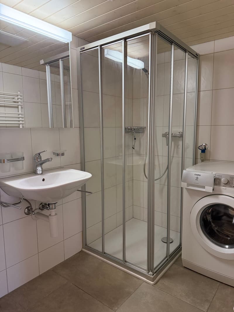 5-party house, fully rented (12)