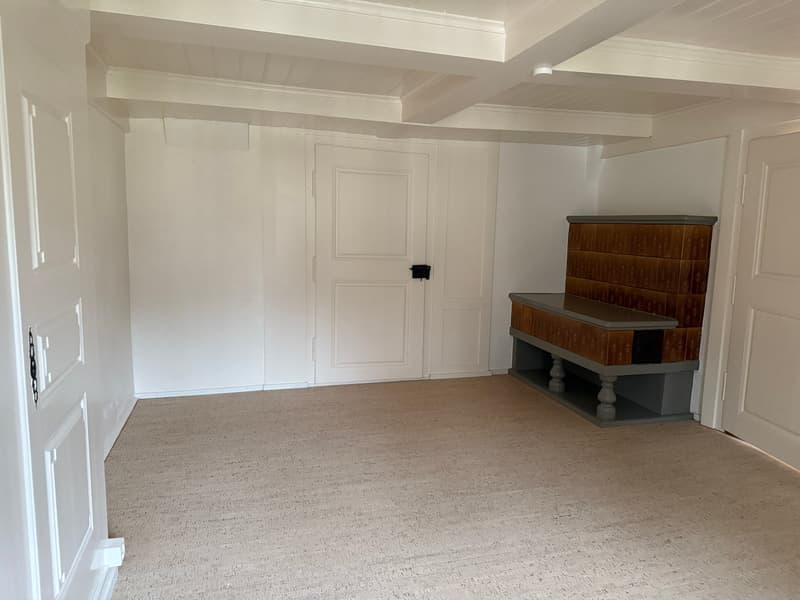 5-party house, fully rented (7)