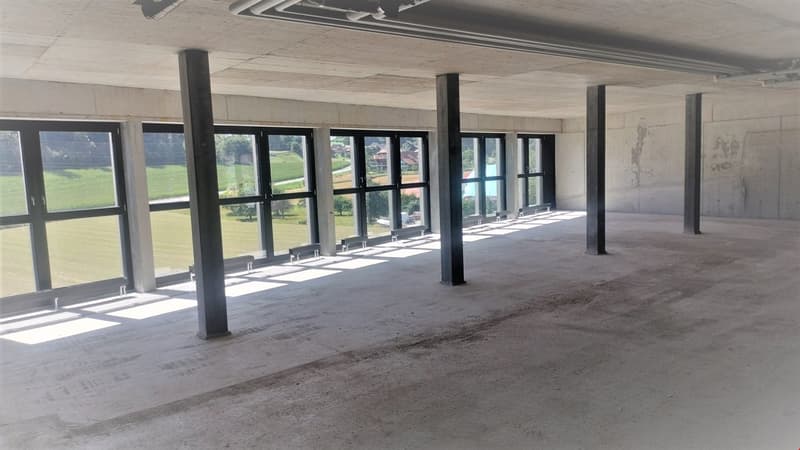 Empty building, concrete floor, large windows, ceiling lights, pillars