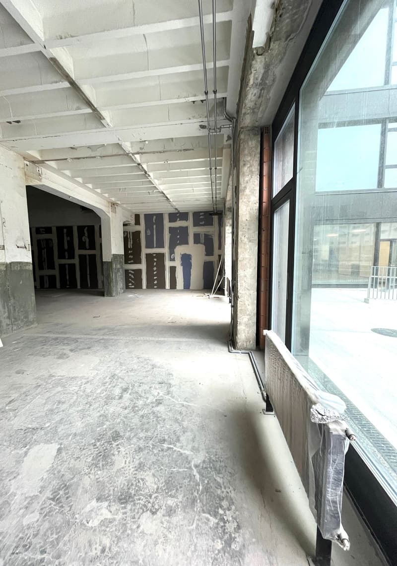 EG - Fläche mit Galerie und Terrasse (Rohbau II) (2)