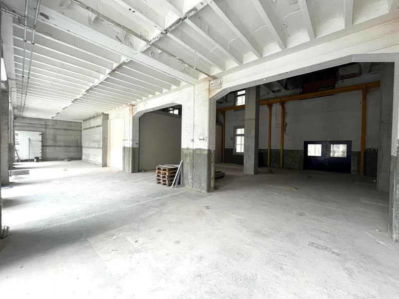 EG - Fläche mit Galerie und Terrasse (Rohbau II) (3)