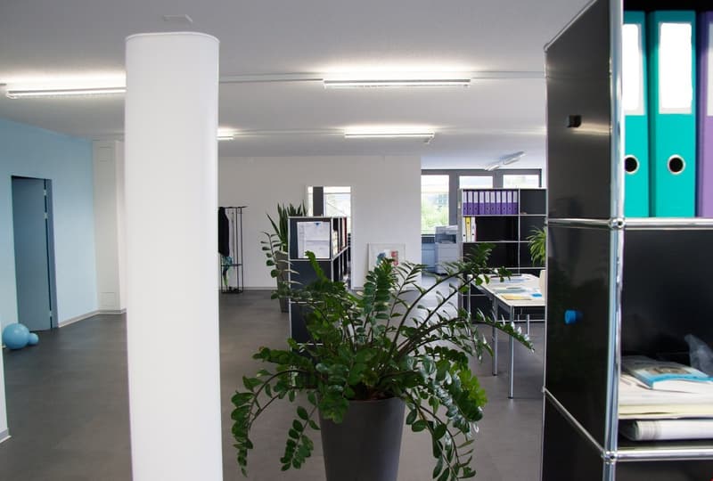 Open office space with white walls, gray floors, and various office furniture and equipment such as desks, shelves, and a printer. The room is decorated with potted plants, adding a touch of greenery to the workspace.