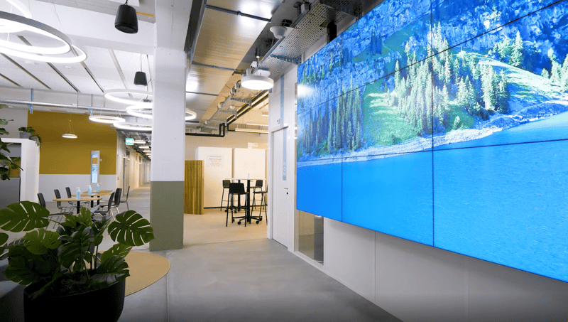 a long hallway with plants and large photo on the wall