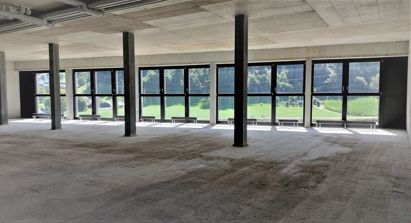 spacious room, concrete floor, long large windows
