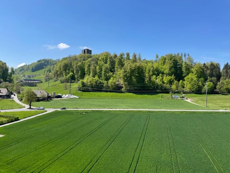 hill with trees and a building on top, expansive green field, houses on the left side, clear blue sky