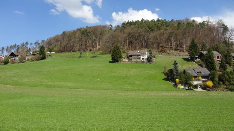 Houses on a hill, surrounded by green grass and trees, clear blue sky