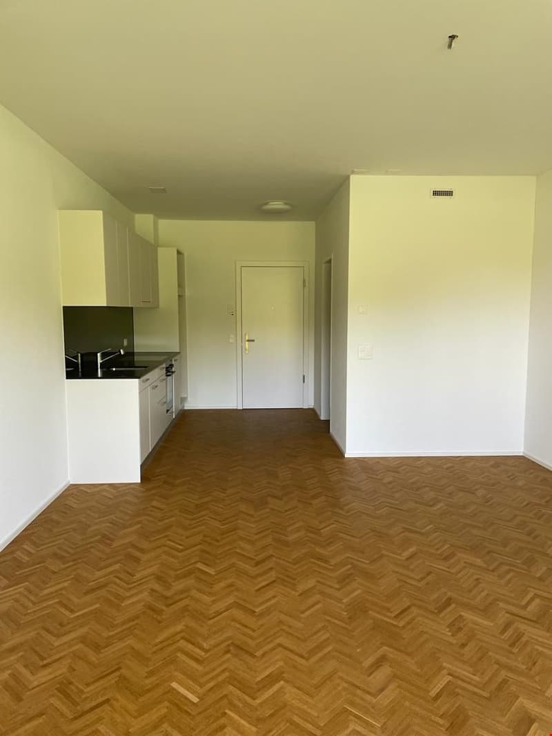High-quality studio in the Bernapark area (2)