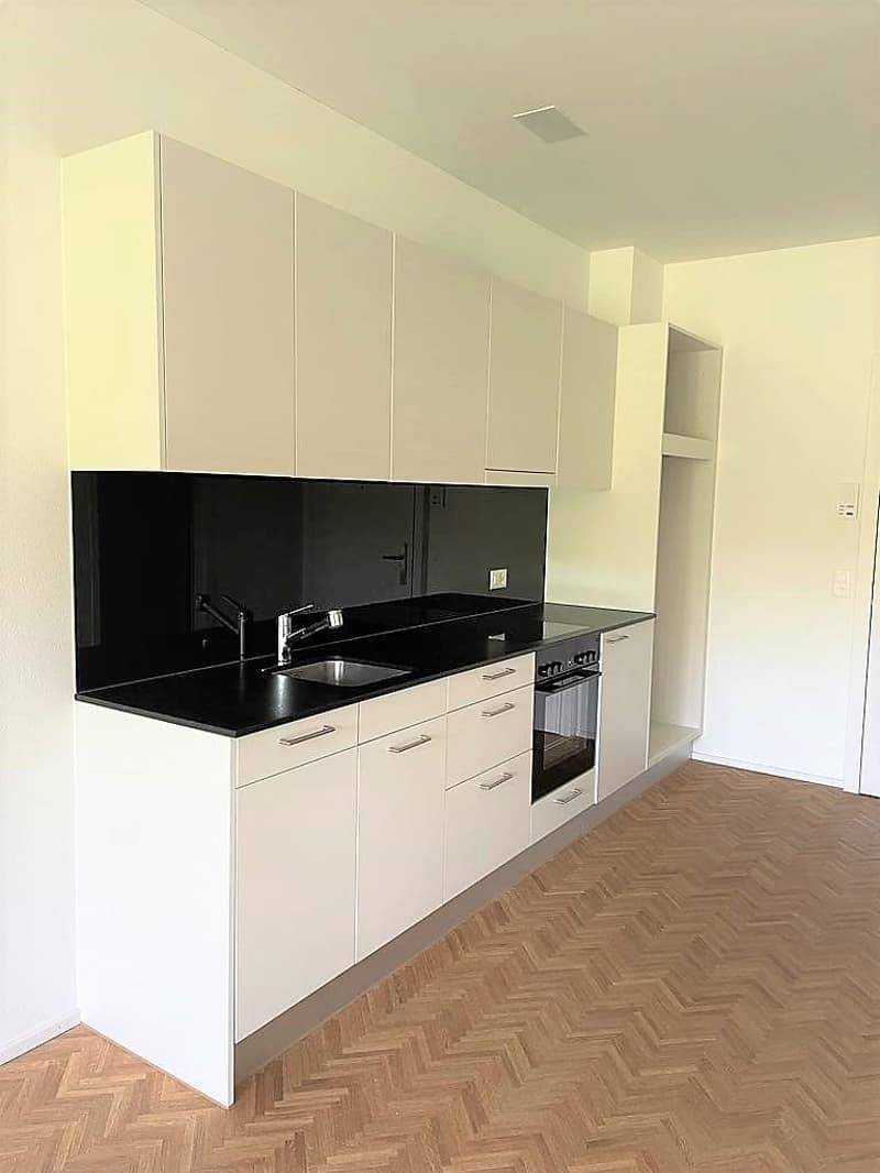 Monolocale moderno con balcone e vista sul verde (5)